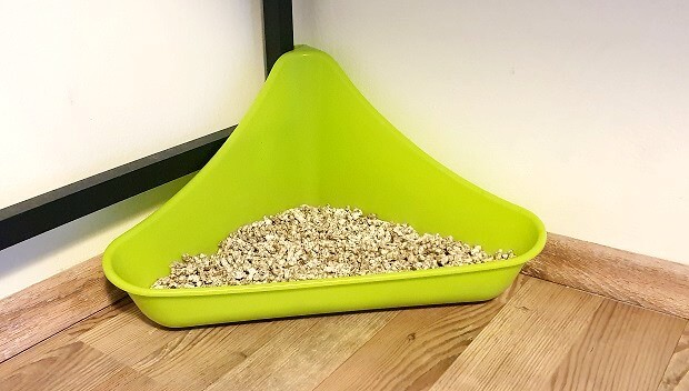 Ferret litter outlet pan