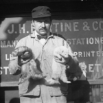 Ferret Domestication History - How & When It All Happened