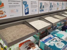 Ferret Litter What Is The Best Litter For Ferrets