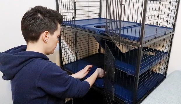 Step 1 Clean Ferret Cage