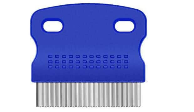 flea comb