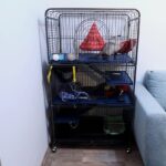 Best Ferret Cage In 2021 Full Buying Guide By Ferret Owner
