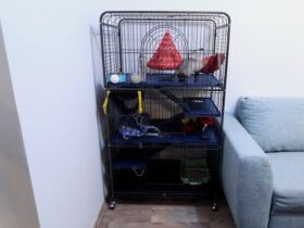 Best Ferret Cage In 2021 Full Buying Guide By Ferret Owner