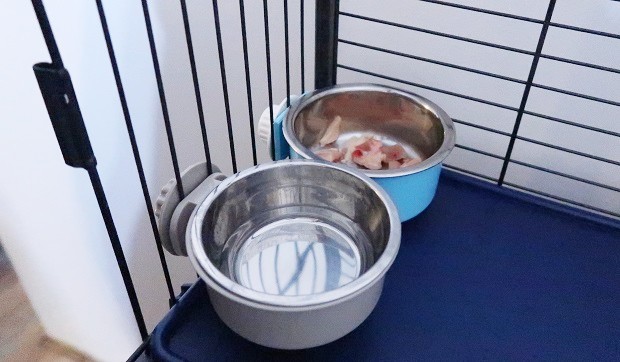 Ferret Food And Water Bowls