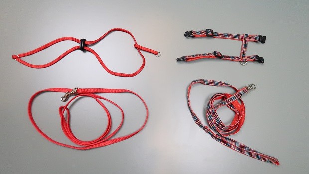ferret harness and leash