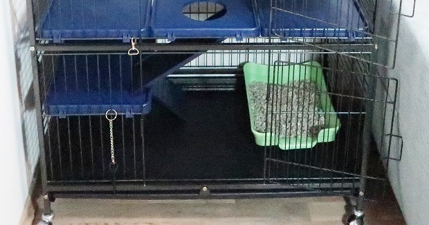 litter box in the cage