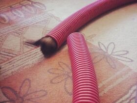 firendlyferrettube-1