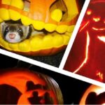 instasquare_201611119516595