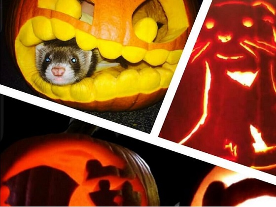 instasquare_201611119516595