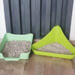 Best Ferret Litter Boxes & Pans Guide To Pick The Right One