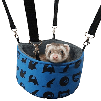 Bucket-Hammock-Ferrets