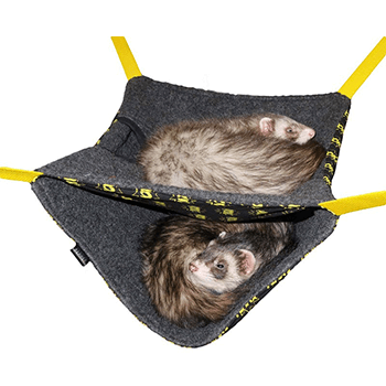 BunkBed-Ferret-Hammock-Dook-Dook