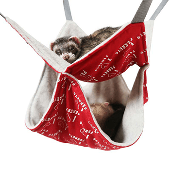 Double-Hammock-I-Love-Ferrets