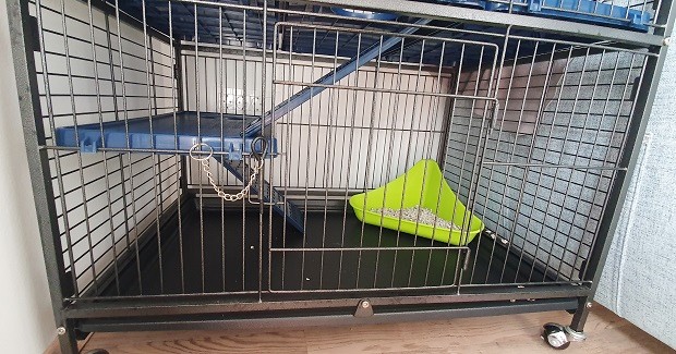 Litter Box In The Cage