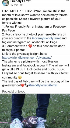 Love My Ferret Giveaway Until 28.2.2021. Facebook