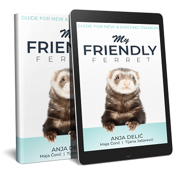 My Friendly Ferret Ebook Shop