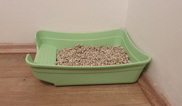Regularly Clean The Litter Box