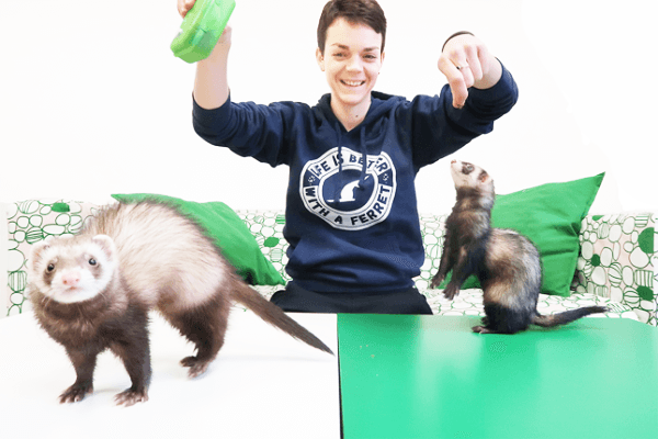 Train-Your-FERRET-Cool-Trick-In-Just-One-Day
