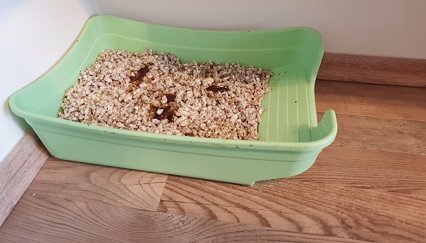 Best litter clearance box for ferrets