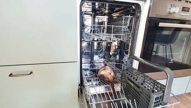 ferret proofing dishwasher