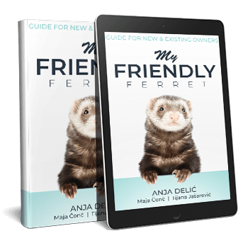 friendly ferret ebook subscribe