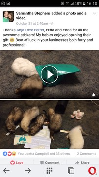 friendly ferret testimonial 23