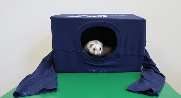 DIY Ferret Hidey Hole