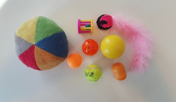 Ferret Ball Toys