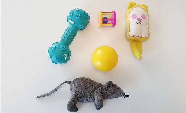 Ferret Safe Toys Without Small Parts