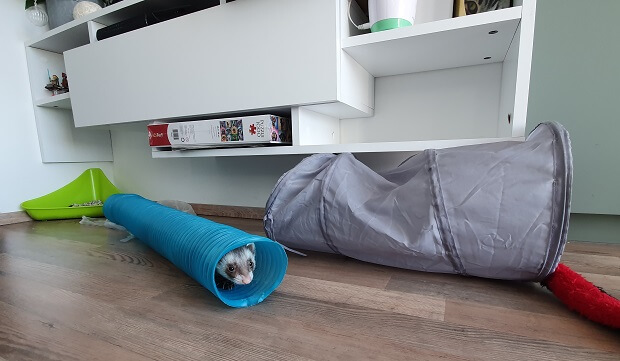 Ferret Tubes & Tunnels