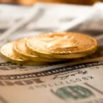 How Much Does A Ferret Cost With Required Ferret Accessories