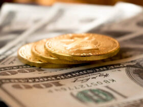 How Much Does A Ferret Cost With Required Ferret Accessories