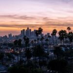 Why Are Ferrets Still Illegal In California In Year 2021