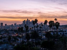 Why Are Ferrets Still Illegal In California In Year 2021