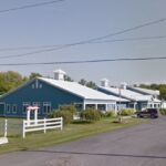 Ferret Farms or Ferret Mills Good Places To Get A Ferret