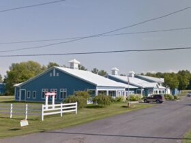 Ferret Farms or Ferret Mills Good Places To Get A Ferret