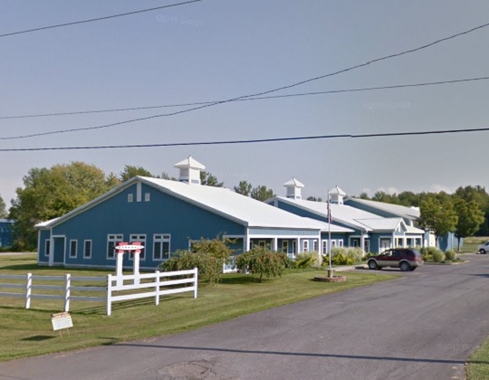 Ferret Farms or Ferret Mills Good Places To Get A Ferret