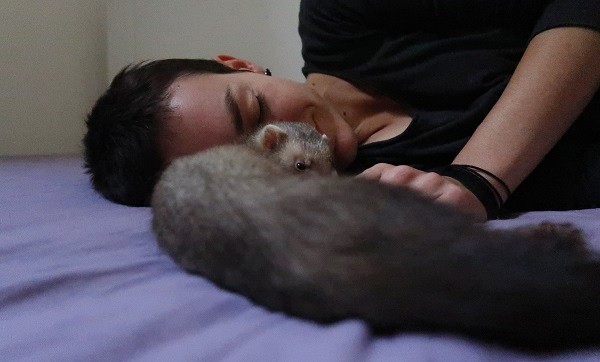 You Can Form A Bond With Ferret