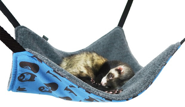 best bedding for ferrets