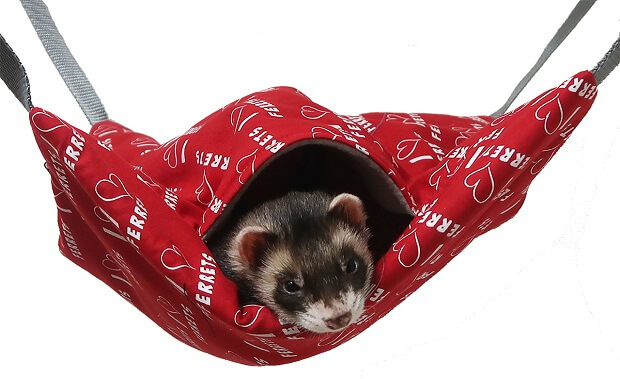 Ferret bedding outlet material