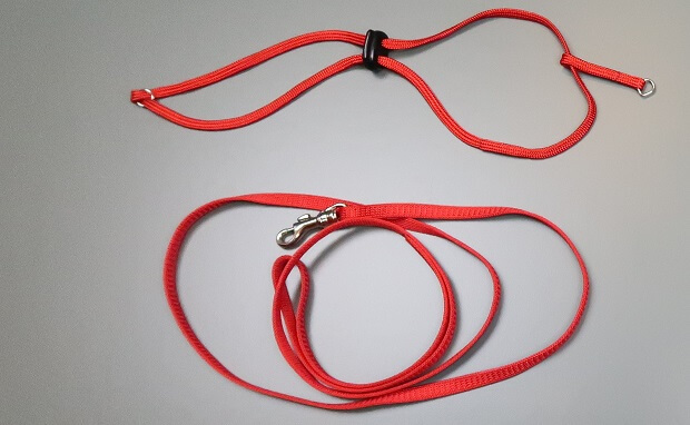 Harness for outlet ferrets