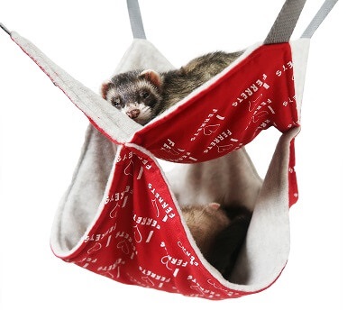 Ferret beds and clearance hammocks