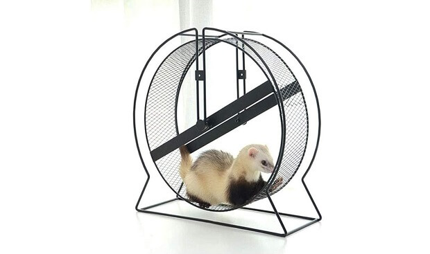 Ferret-exercise-gym-workout