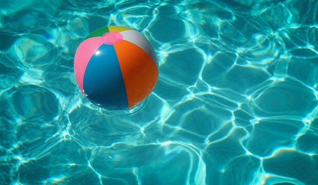 ferret swimming in the pool