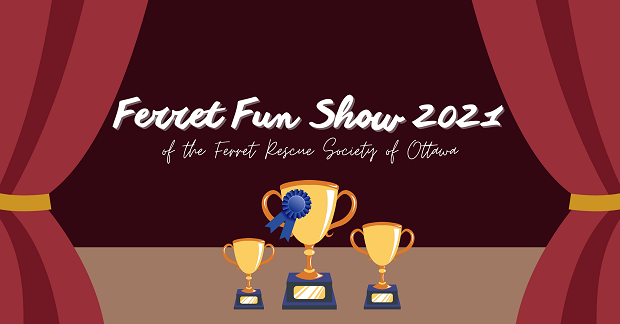 Ferret Fun Show