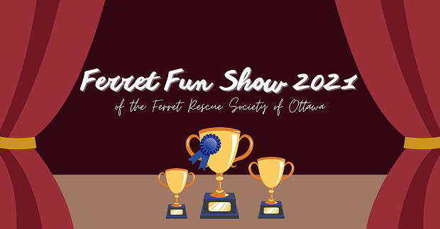 Ferret show best sale