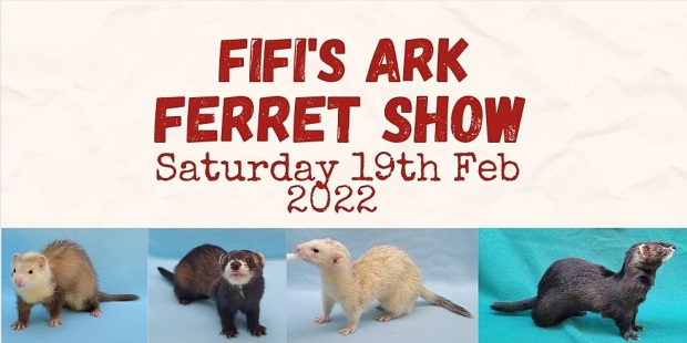 Fifi's Ark Ferret Show