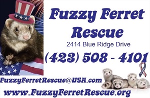 fuzzy ferret rescue